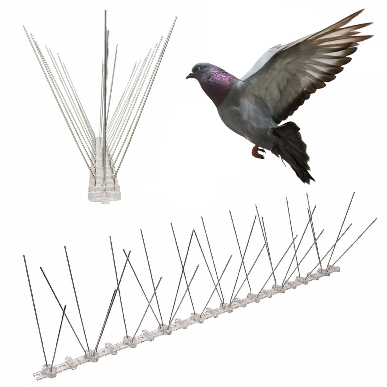 Aberystwyth bird spikes
