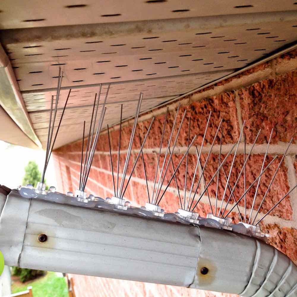 Bird Spikes | Bird Control Spikes | Bird Deterrent Spikes (per 50cm strip): image 3