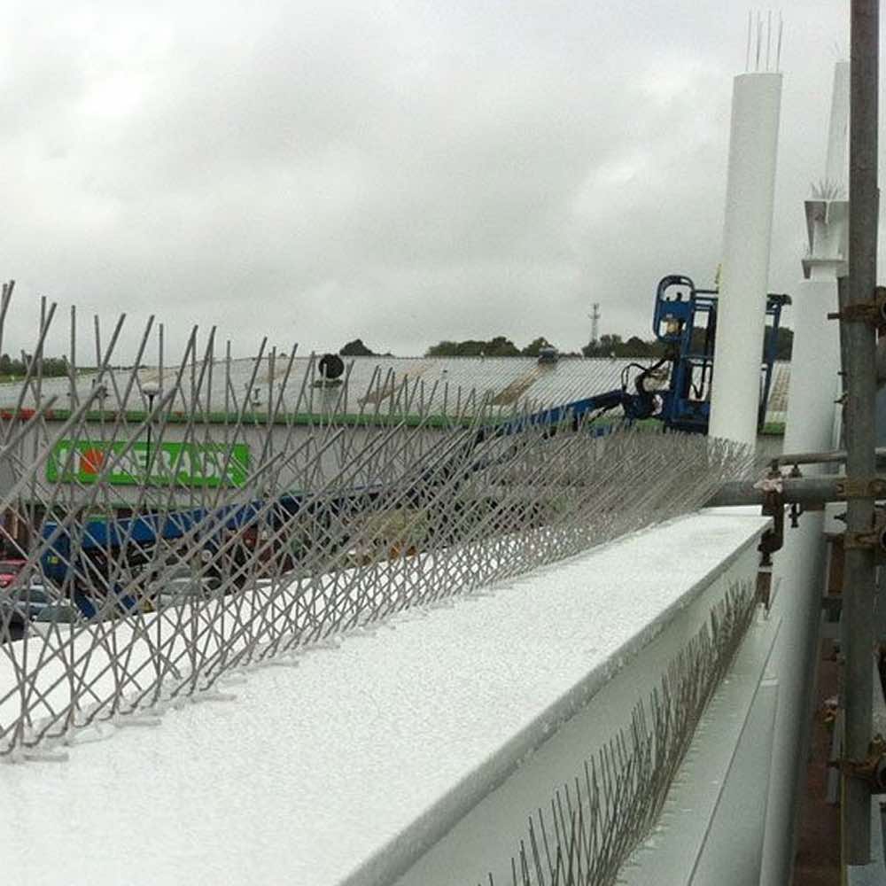 Bird Spikes | Bird Control Spikes | Bird Deterrent Spikes (per 50cm strip): image 5