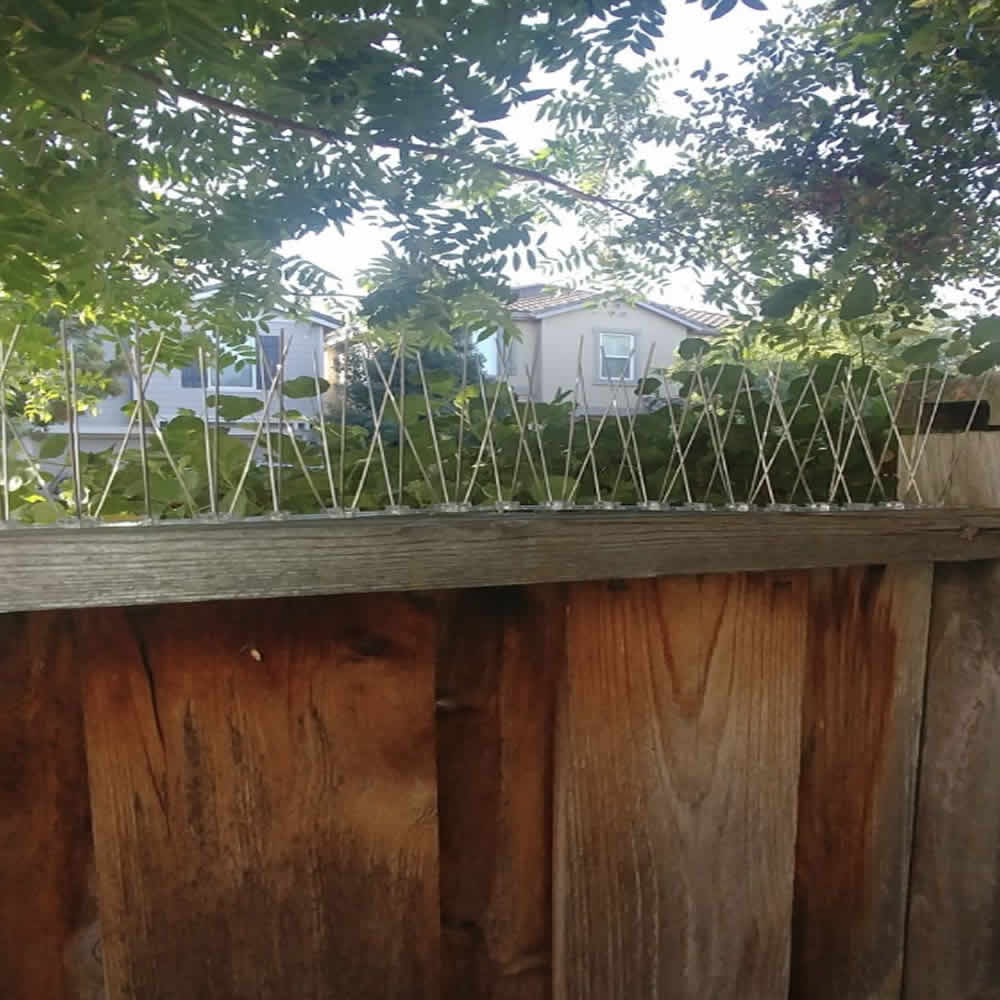 Fence Spikes | Pest Spike Strips For Fences | Fence Repellant Spikes (per 50cm strip)