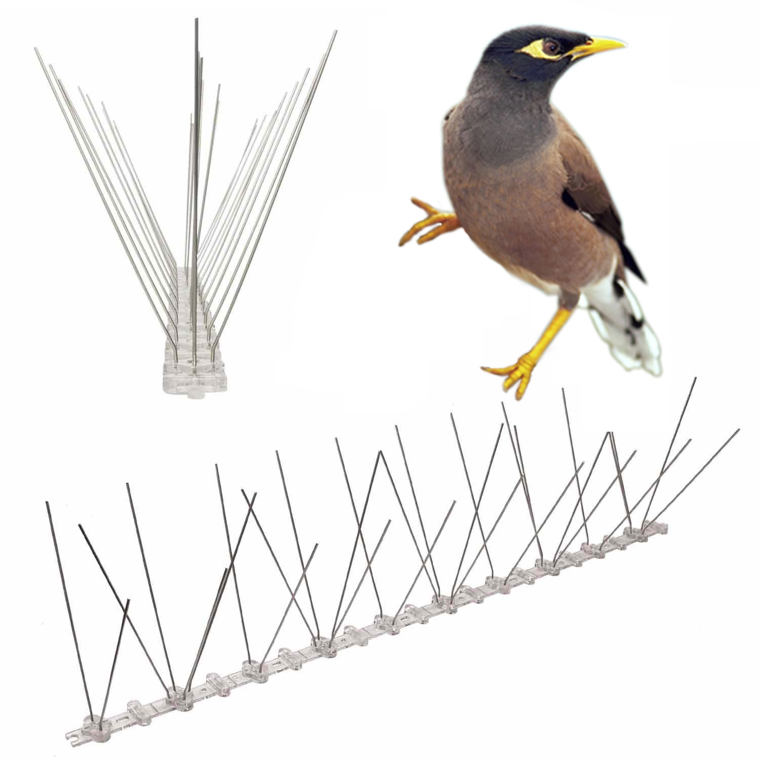 Anti-Indian Myna Spikes | Indian Myna Deterrent Spike Strips | Indian Myna Repellent Spikes (per 50cm strip)