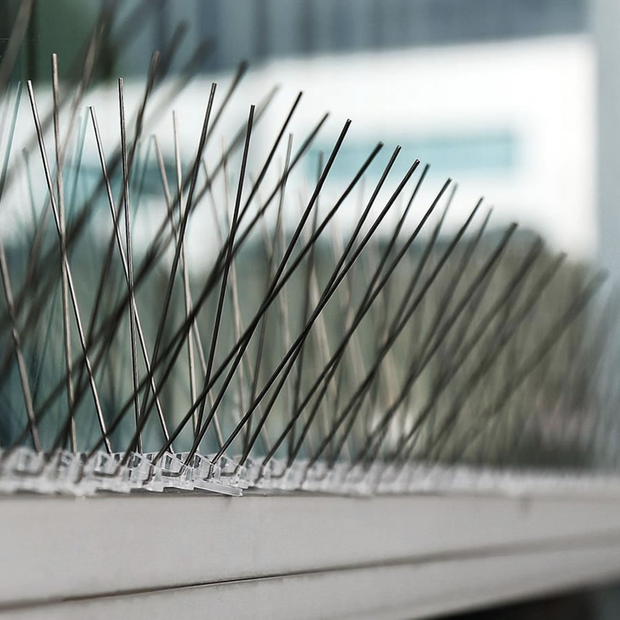 Anti-Pigeon Spikes | Pigeon Deterrent Spike Strips | Pigeon Repellent Spikes (per 50cm strip): image 4