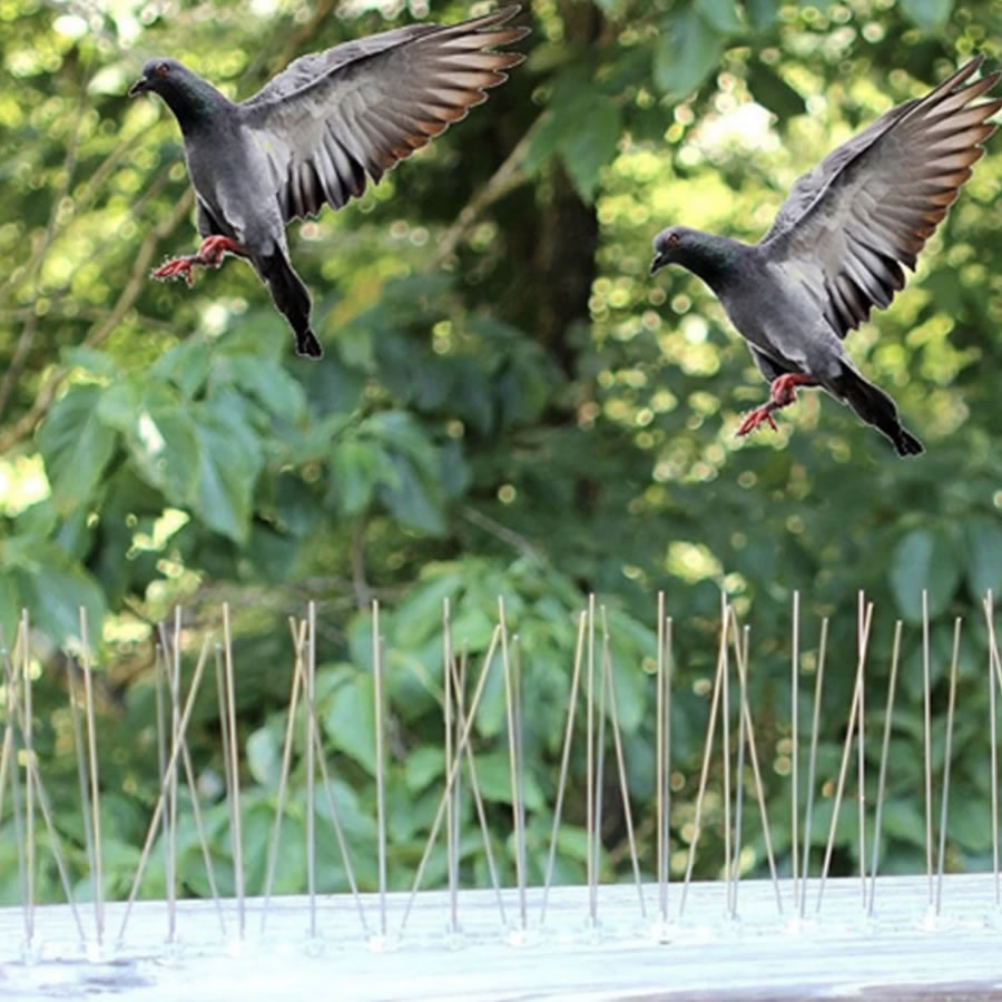 Anti-Pigeon Spikes | Pigeon Deterrent Spike Strips | Pigeon Repellent Spikes (per 50cm strip): image 11