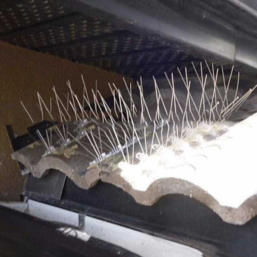 Anti-Seagull Spikes | Seagull Deterrent Spike Strips | Seagull Repellent Spikes (per 50cm strip): image 2
