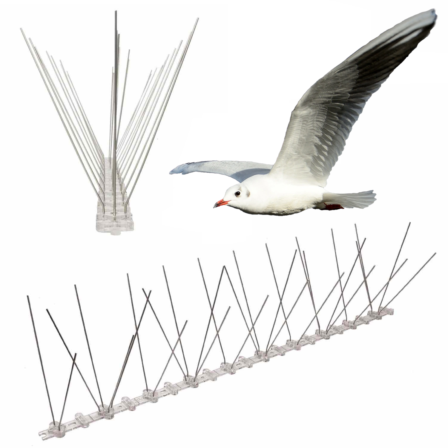 Anti-Seagull Spikes | Seagull Deterrent Spike Strips | Seagull Repellent Spikes (per 50cm strip)