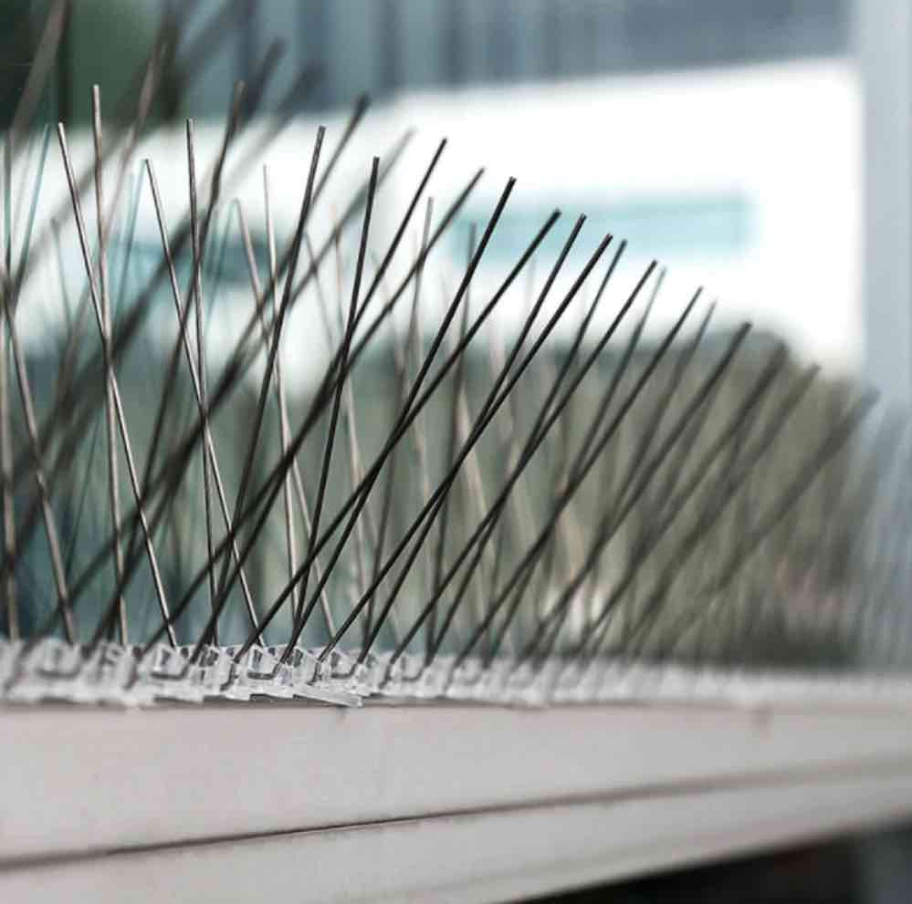 Squirrel Spikes | Squirrel Spike Strip | Squirrel Deterrent Spikes - Stainless Steel (per 50cm strip): image 4