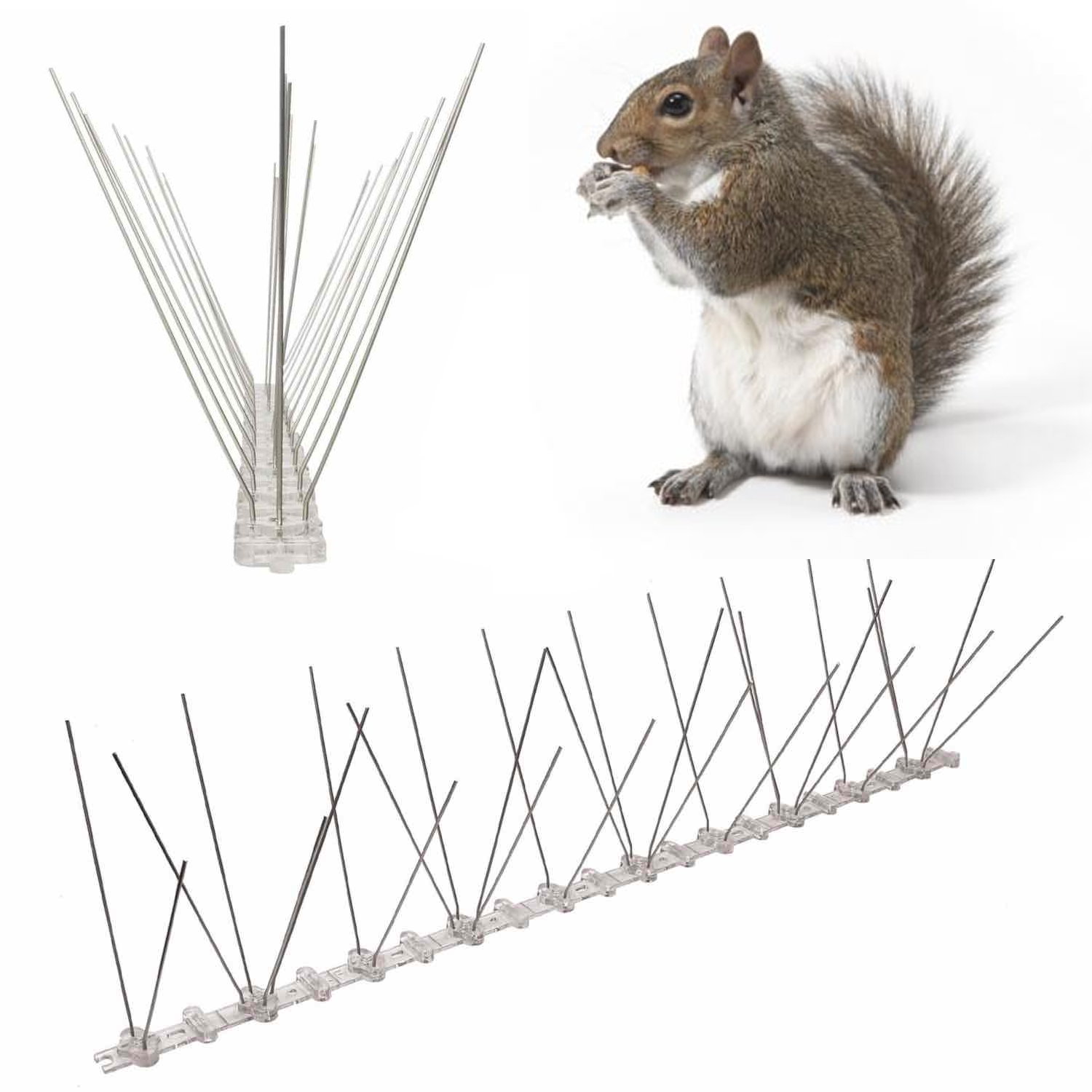 Squirrel Spikes | Squirrel Spike Strip | Squirrel Deterrent Spikes - Stainless Steel (per 50cm strip)